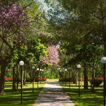 Green Park Divjaka Kültér fotó