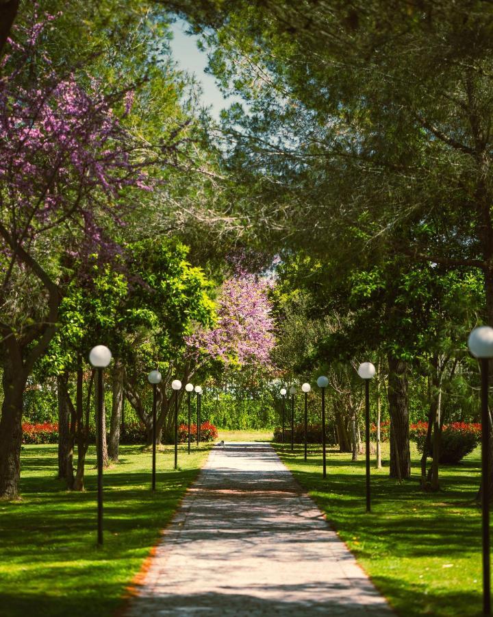 Green Park Divjaka Kültér fotó